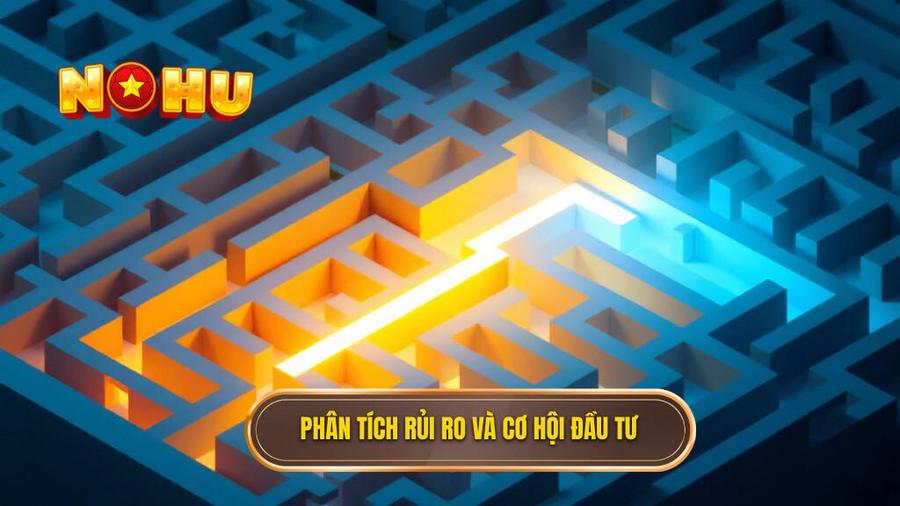 3. Phân tích rủi ro và cơ hội đầu tư